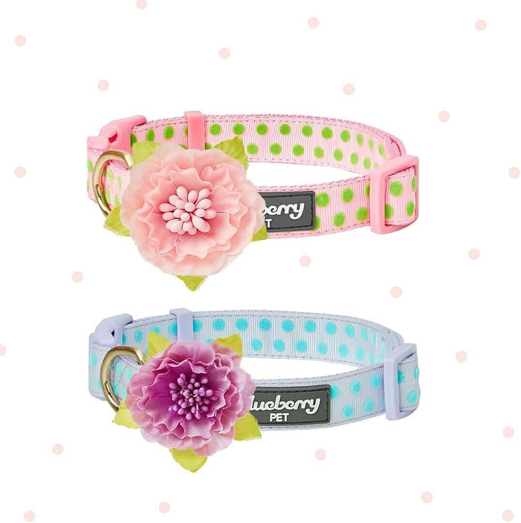 4 Patterns Adjustable Flocking Dog Collar with Artificial Silk Flower - Polka Dot in Baby Pink, Large, Neck 18"-26"
