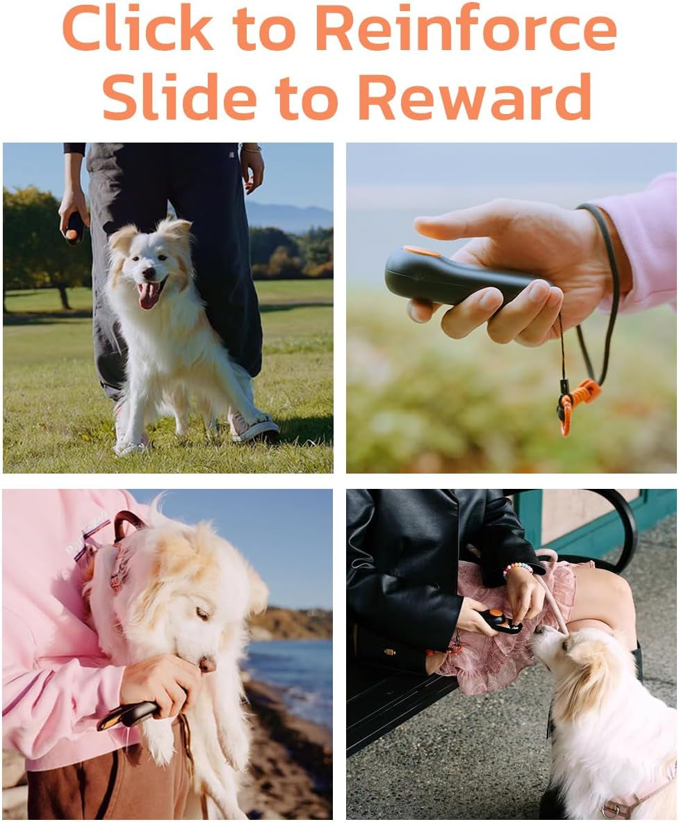 2-In-1 Puppy Essentials Dog Treat Carrier & Training Clicker, Durable Dual Use Dog Stuff for Pet Training, Food Grade Material, Lightweight, Innovative Desiccant Compartment, Black