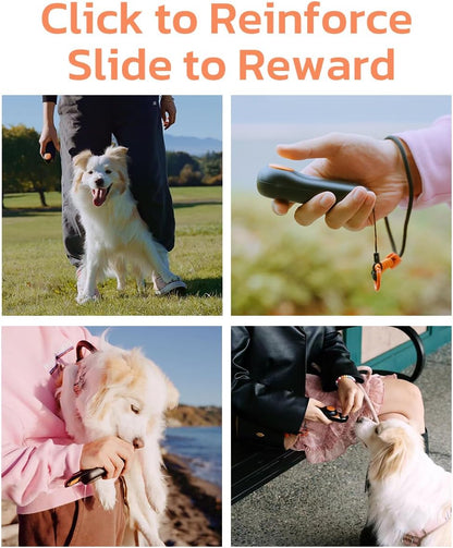 2-In-1 Puppy Essentials Dog Treat Carrier & Training Clicker, Durable Dual Use Dog Stuff for Pet Training, Food Grade Material, Lightweight, Innovative Desiccant Compartment, Black